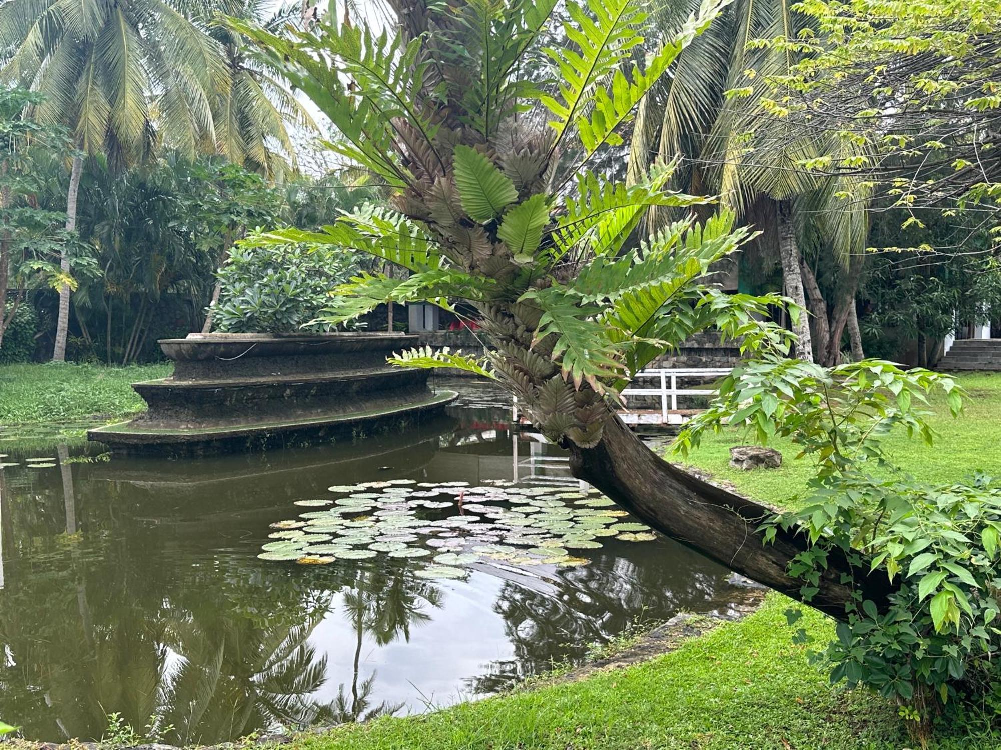 Amaluna Resorts Negombo Esterno foto