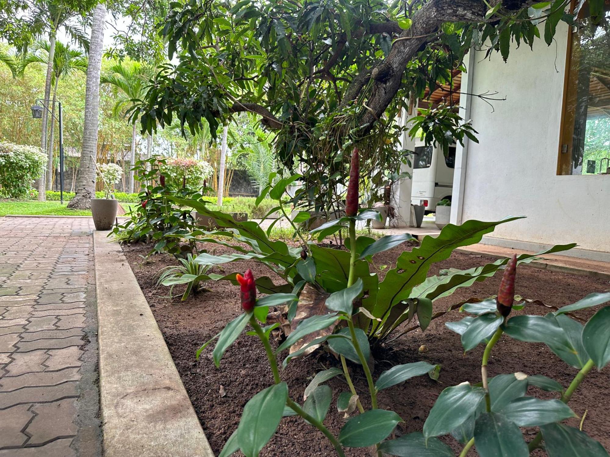 Amaluna Resorts Negombo Esterno foto